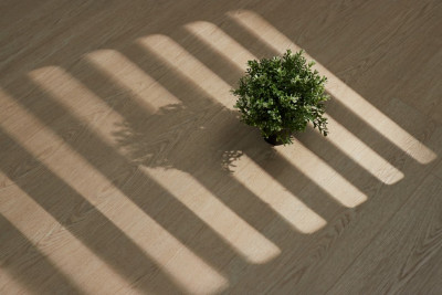 Каменный SPC ламинат Steinholz Element Эрде STH048E (1540х183х4.5мм)